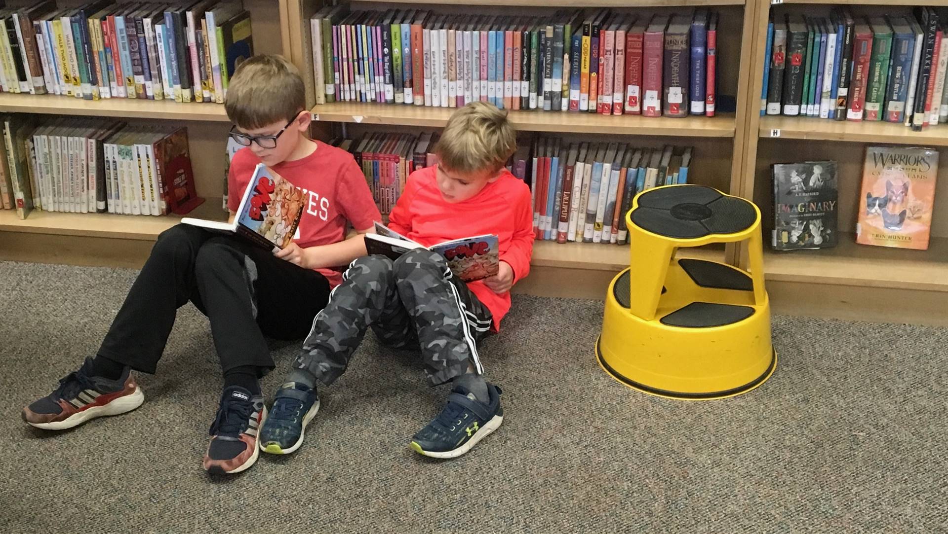Two boys reading in library