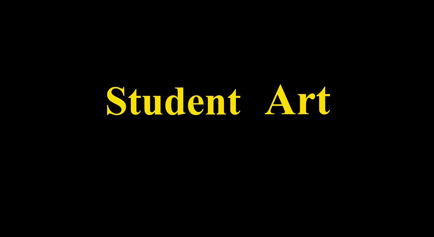 student art blurb
